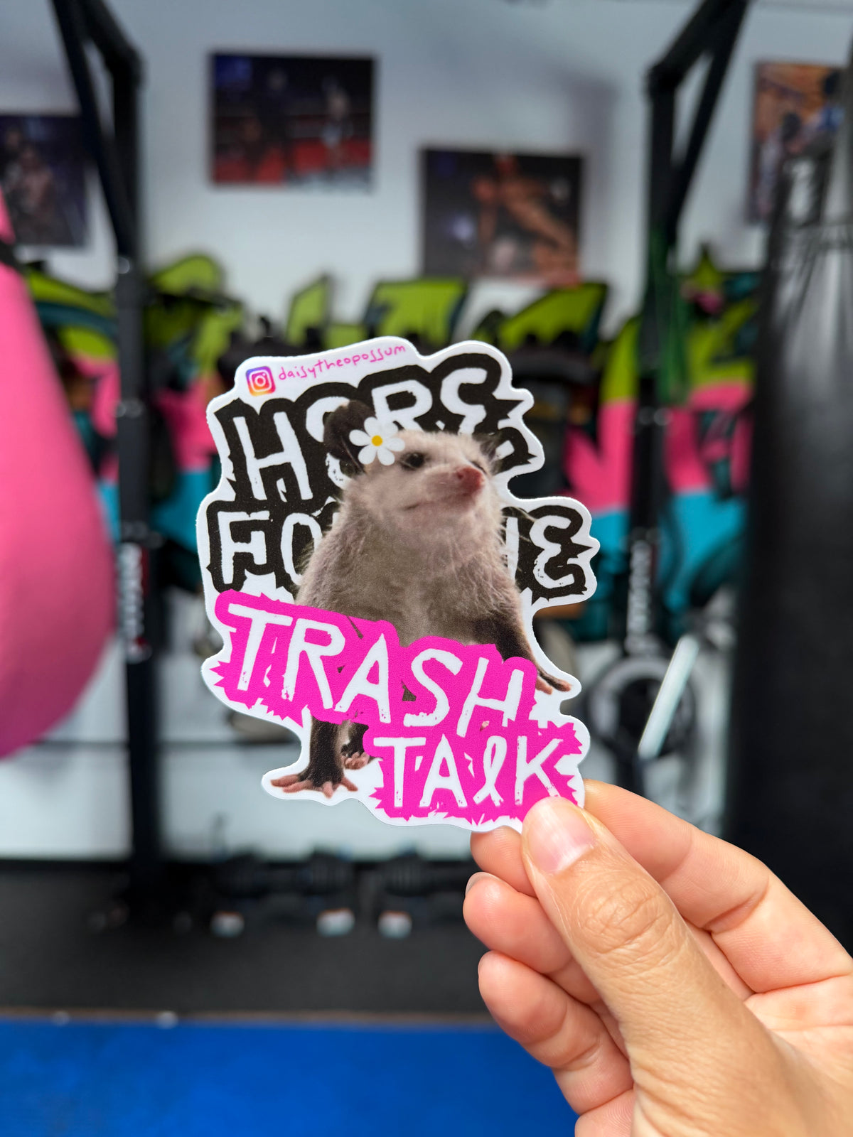 Daisy x Mr. Violence Trash Talk Sticker